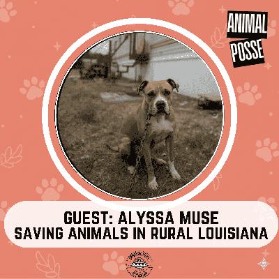 When Hope Meets Heartbreak: Saving Animals in Rural Louisiana