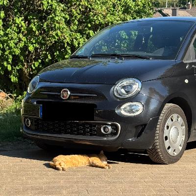 PKP #452 - Ich hab nen kleinen PKP #452 - Ich hab nen kleinen