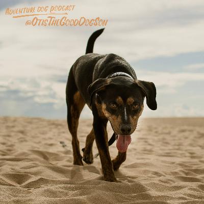 Sallay & Otis @OtisTheGoodDogSon