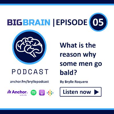 Why Do Some Men Go Bald?