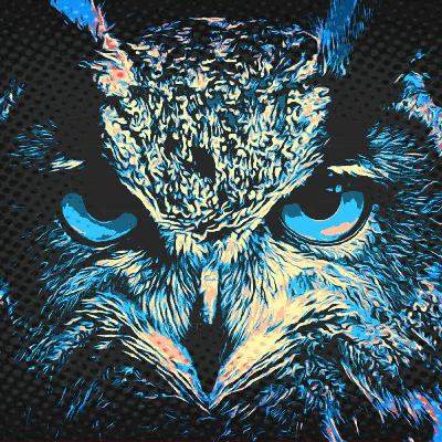 Búho - Especie del día 3 Búho - Especie del día 3