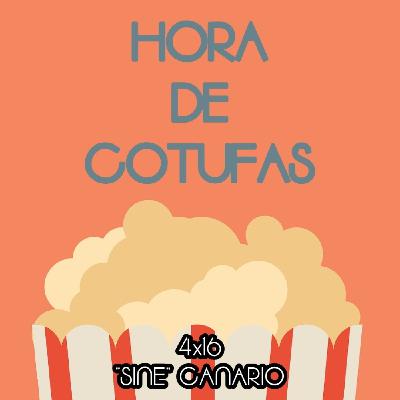 4x16 "Sine" Canario 4x16 "Sine" Canario