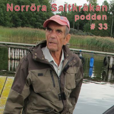 33. Fåglar och djurliv på Tättgrundet vid Norröra