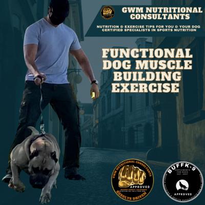 Functional dog muscle building exercises Functional dog muscle building exercises