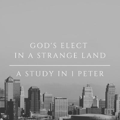 1 Peter 1:3-5: More Than Hope