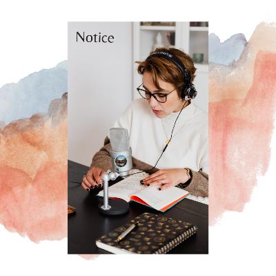 Notice - PrisCorner Future 🐬