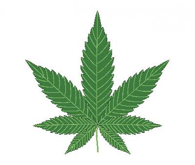 Konsum Cannabis 2