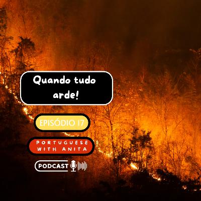 #17- Quando tudo arde