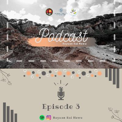 #3 Kulit kerang raksasa untuk pembuatan garam