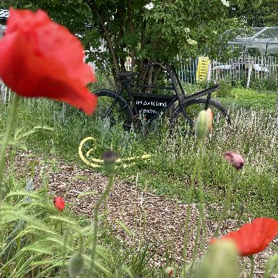 S1 AFLEVERING 6 JESSICA ZWARTJES S1 AFLEVERING 6 JESSICA ZWARTJES