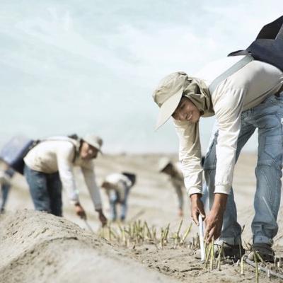 Growing Food, Equality, And Opportunity In Peru