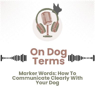 Markers: How To Communicate Clearly With Your Dog