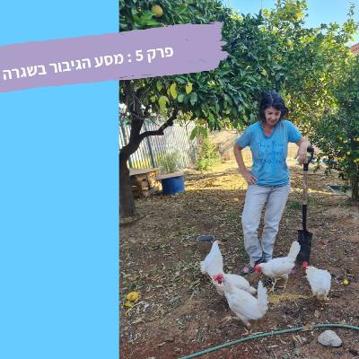 מסע הגיבור בשגרה מסע הגיבור בשגרה