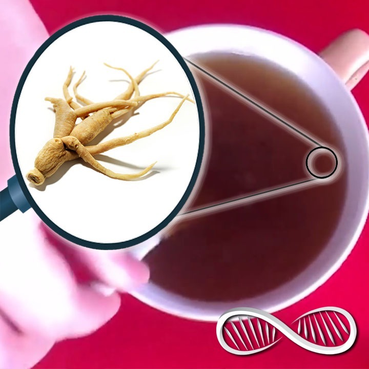 Siberian Ginseng will bring out the Genghis Khan in you! 🌿 Biohacker Review of Eleuthero
