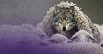 How to Identify & Stop Predators in the Church How to Identify & Stop Predators in the Church
