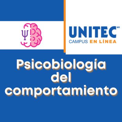 Semana 4