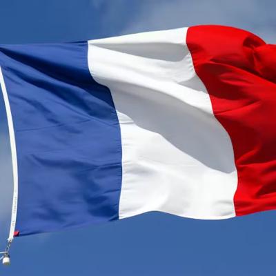 Nouveaux contenus et projets