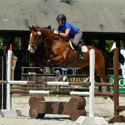 Behind the Scenes of Local Horse Shows w/Kelly Gannon of CVSJA