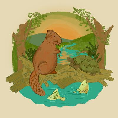 Pond Palace - Part 2