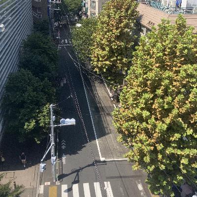マイコのたき火報告