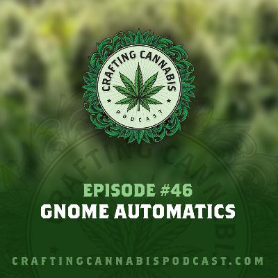 #46 - Gnome Automatics