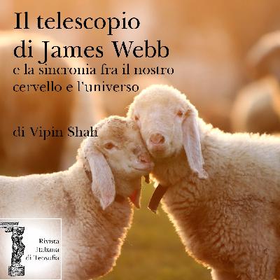 Il telescopio di James Webb e la sincronia fra il nostro cervello e l’universo - Vipin Shah