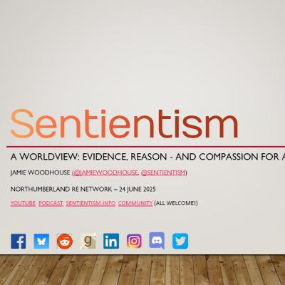 In the classroom! - Sentientism 230 In the classroom! - Sentientism 230