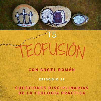 Cuestiones disciplinarias de la teología práctica