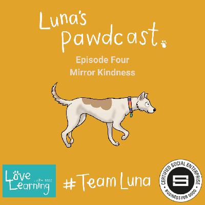 Mirror Kindness