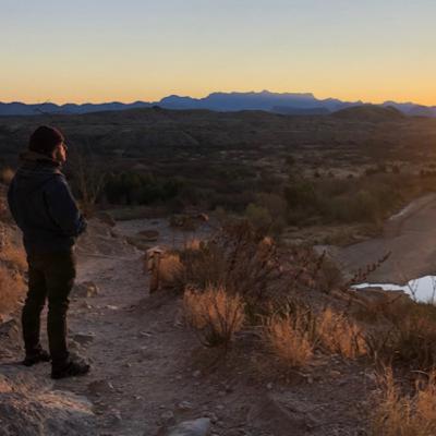 Will Hall - Misunderstanding Madness