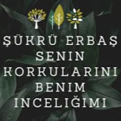 Şükrü Erbaş - Senin Korkularını Benim İnceliğimi