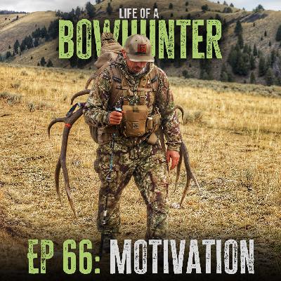 Episode 66: Motivation