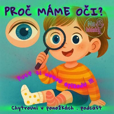 PROČ MÁME OČI?