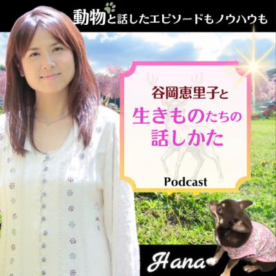 【まとめ】迷子相談の流れ