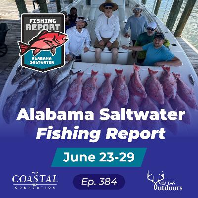 Pitch Baiting Blue Marlin and Catching Sow Red Snapper