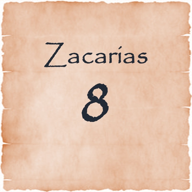 Zacarias 8 episode artwork