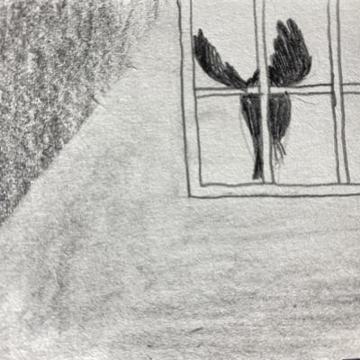 第五十三天最近我的書包裡有一本書