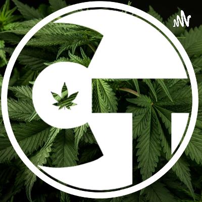 New Cannabis Jobs Report Shines Light on Salaries New Cannabis Jobs Report Shines Light on Salaries