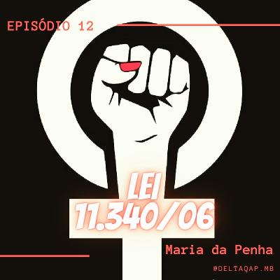 Lei 11.340/06 - Lei Maria da Penha