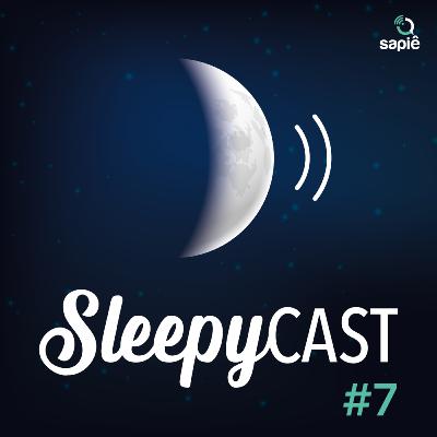Episode 7 Episode 7