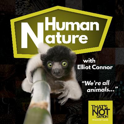 S2E3: Daniel Fox and Humans