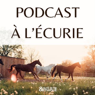 Lann er Roch, la reprise d'un centre équestre en équipe