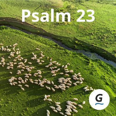 [DE] 08.03.2026 | Psalm 23 (2/5) | Samuel Maag