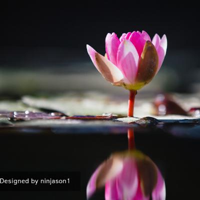 Heal from the Inside Out Series #29: Give from the Heart and Expect Nothing in Return