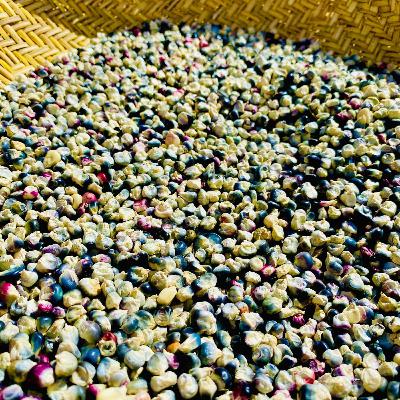 Resilience of Indigenous Communities