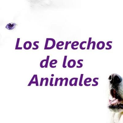 Los derechos de los animales