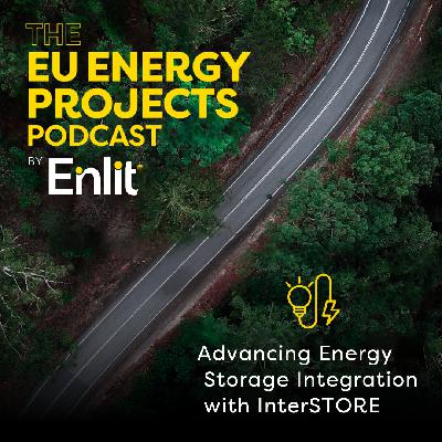 Advancing Energy Storage Integration with InterSTORE