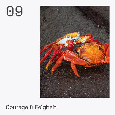 09: Courage und Feigheit