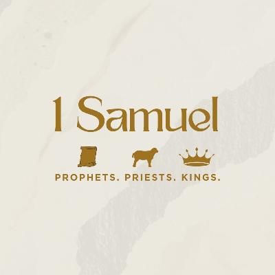 What do you really need? What do you really need?