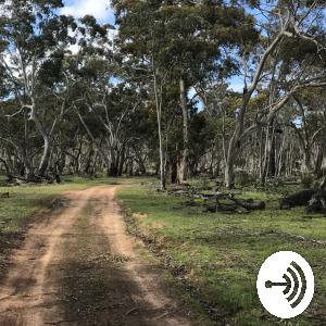 OES Ep1: Terminology & Outdoor Environments